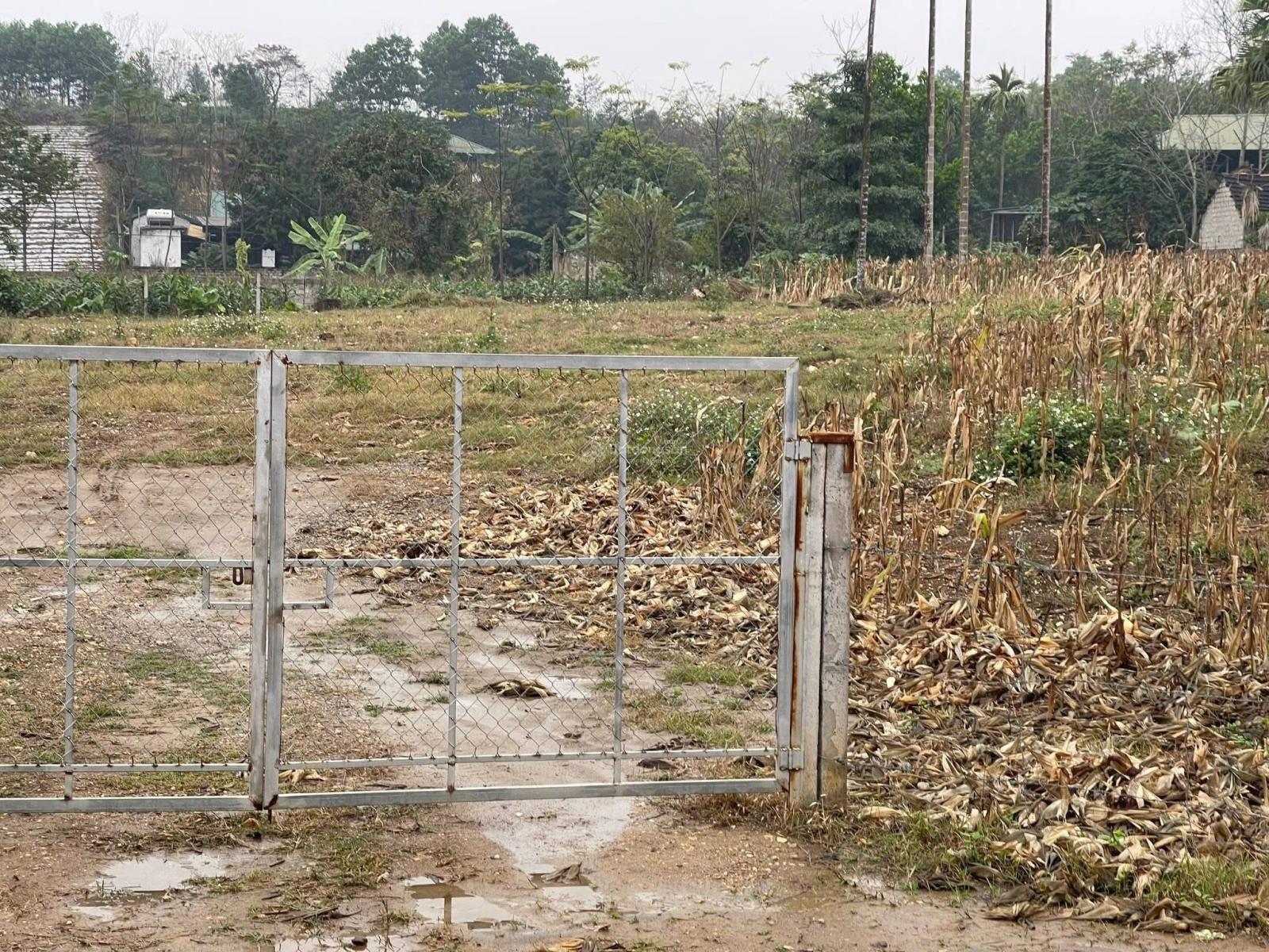 Bán đất chính chủ tại thôn 9 xã Ba Trại, Huyện Ba Vì, Hà Nội. 2393m2 có 150m2 đất ở x2x3, 4.35tr/m2