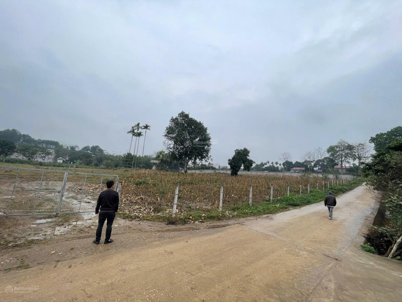 Bán đất chính chủ tại thôn 9 xã Ba Trại, Huyện Ba Vì, Hà Nội. 2393m2 có 150m2 đất ở x2x3, 4.35tr/m2