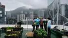 Cho thuê văn phòng phố bạch mai,hai bà trưng,hà nội,dtsd 65m2,giá 10,5tr/tháng, thông sàn,