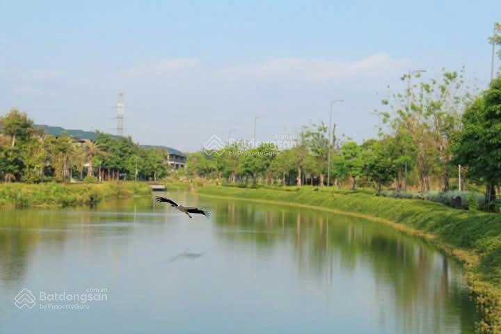 Bán gấp biệt thự 8x15 tại khu đô thị ID Junction, 7,7 tỷ, 120m2