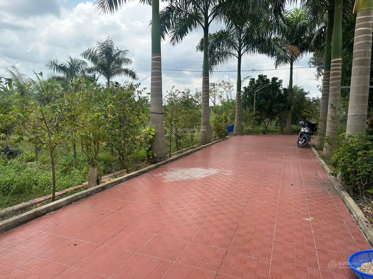 Bán rẻ nhà vườn, ao cá, cây ăn quả. 6.450m2 gần BV Phạm Ngọc Thạch