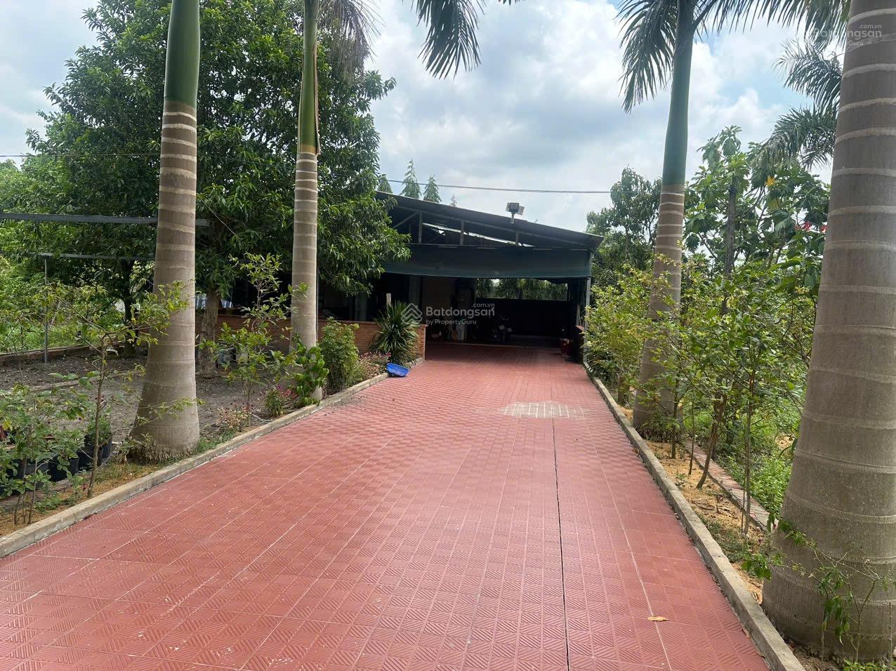 Bán rẻ nhà vườn, ao cá, cây ăn quả. 6.450m2 gần BV Phạm Ngọc Thạch