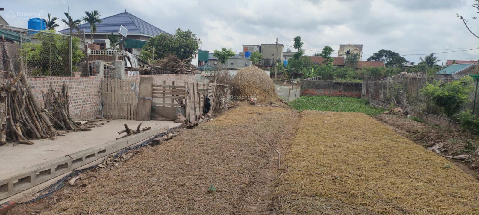 Bán đất xã Đông Trà, Tiền Hải, Thái Bình. Full thổ cư. Giá 780 triệu