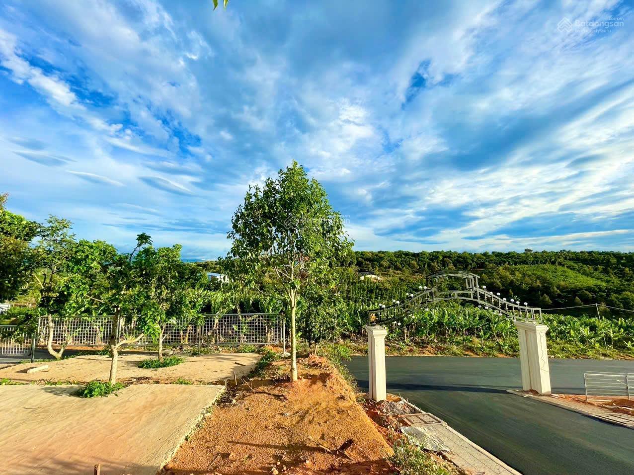 Đất Nền Sổ Sẵn Giá Sốc Chỉ 300Triệu ở Tp Bảo Lộc, Lâm Đồng Kèm Gói Ưu Đãi Khủng Hơn 250tr Tiền Mặt!