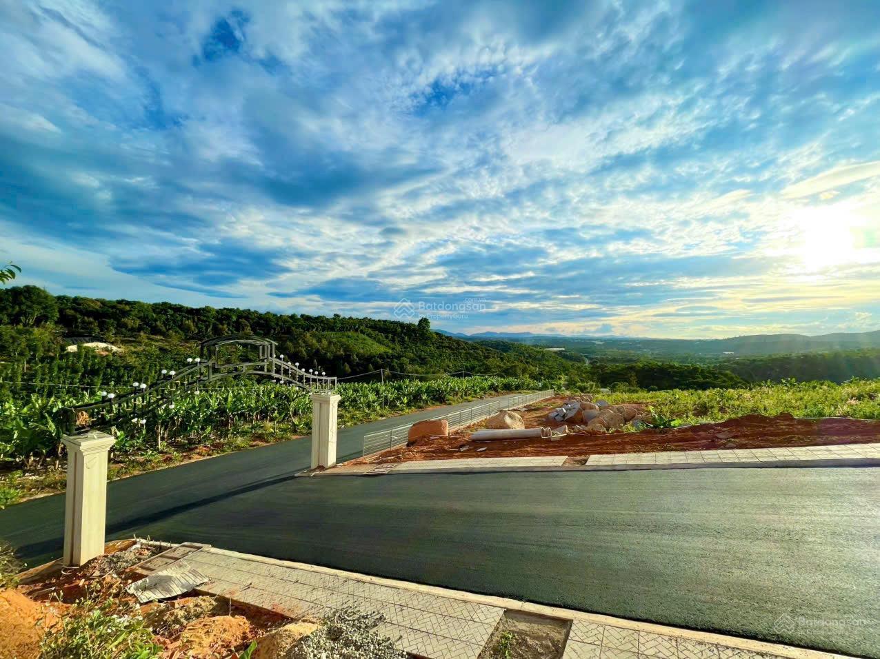 Đất Nền Sổ Sẵn Giá Sốc Chỉ 300Triệu ở Tp Bảo Lộc, Lâm Đồng Kèm Gói Ưu Đãi Khủng Hơn 250tr Tiền Mặt!