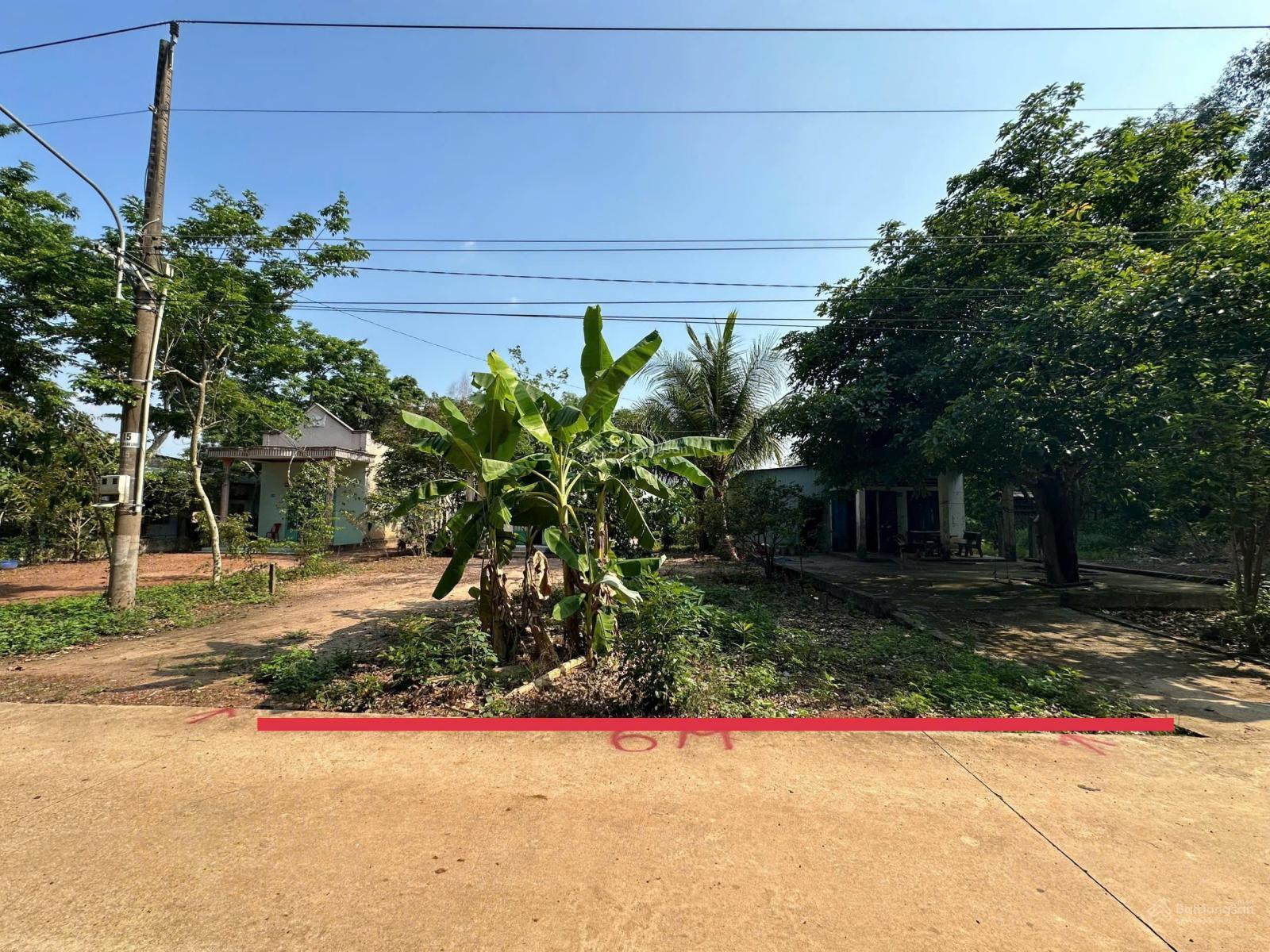 Chính chủ bán 479,2m2 sẵn thổ cư 100m2 ngay sau ủy ban An Linh, giá 480 triệu, sổ hồng riêng