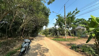 Chính chủ bán 479,2m2 sẵn thổ cư 100m2 ngay sau ủy ban An Linh, giá 480 triệu, sổ hồng riêng