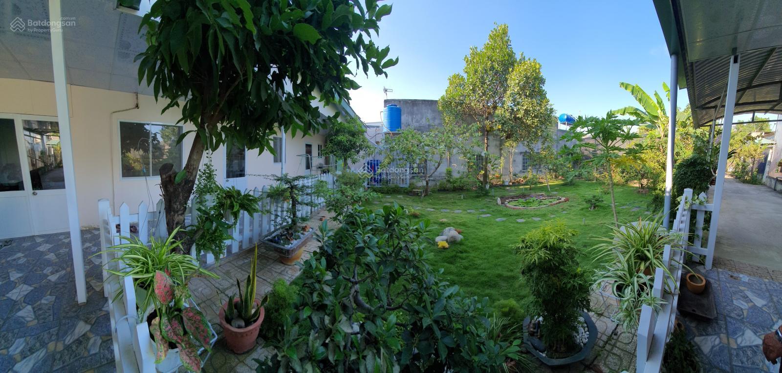 Bán gấp đất mặt tiền Quốc Lộ 50, Tân Kim, Cần Giuộc, Long An, 33 triệu/m2, 559m2