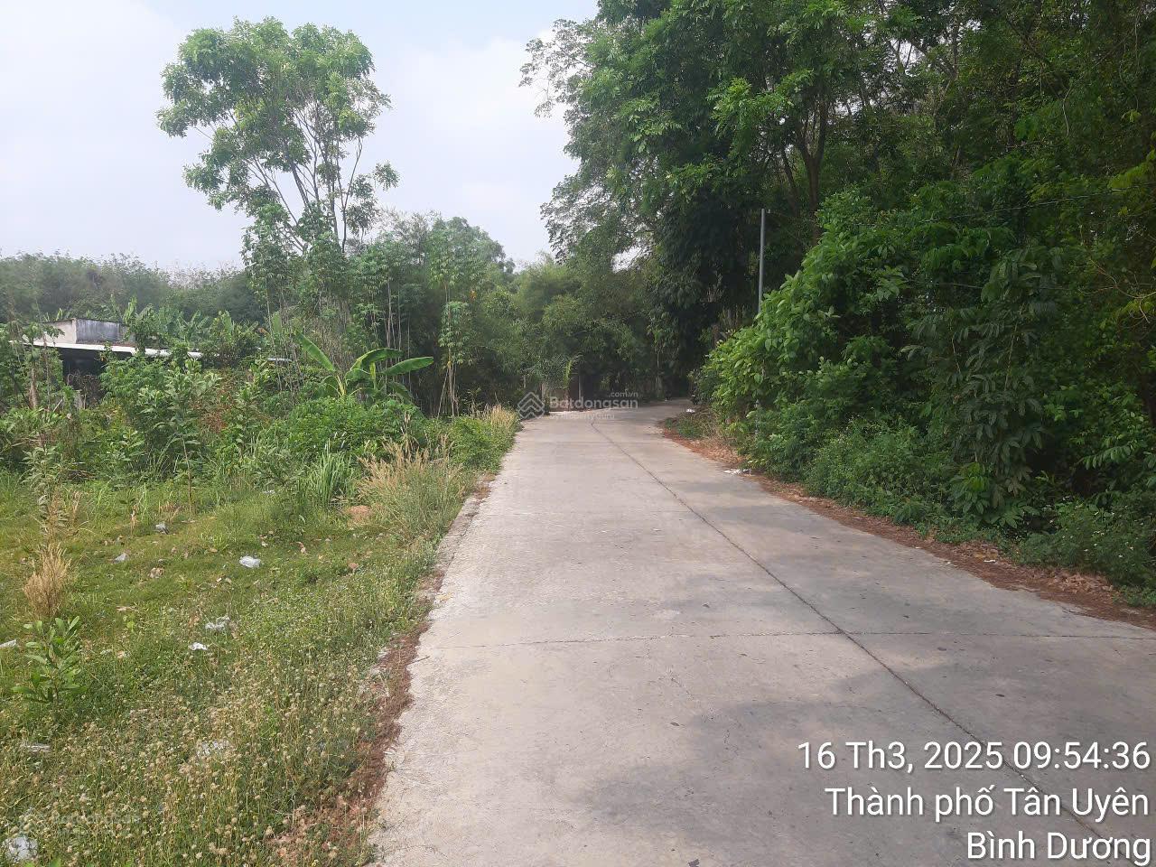 Bán đất mặt tiền đường Phú Chánh 21, Bình Dương diện tích khủng 6.400m², đã có 900m² thổ cư giá rẻ