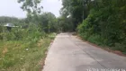 Bán đất mặt tiền đường Phú Chánh 21, Bình Dương diện tích khủng 6.400m², đã có 900m² thổ cư giá rẻ