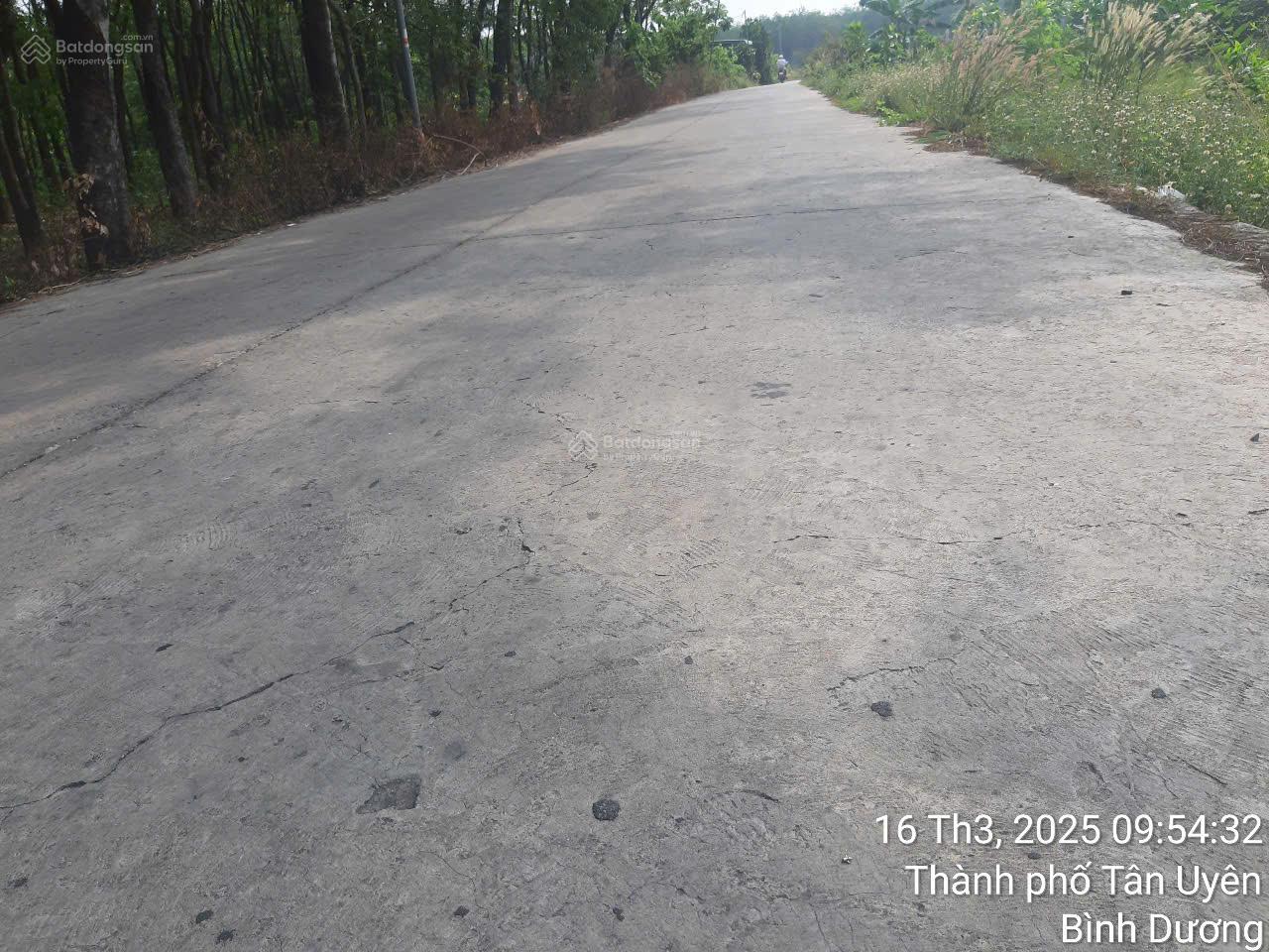 Bán đất mặt tiền đường Phú Chánh 21, Bình Dương diện tích khủng 6.400m², đã có 900m² thổ cư giá rẻ Bán đất mặt tiền đường Phú Chánh 21, Bình Dương diện tích khủng 6.400m², đã có 900m² thổ cư giá rẻ