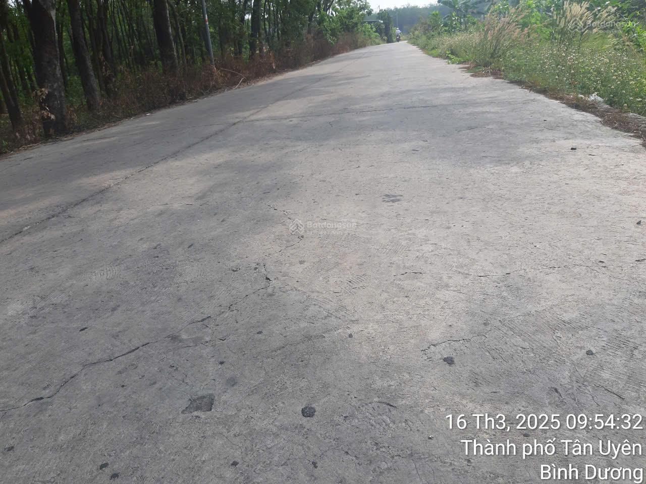 Bán đất mặt tiền đường Phú Chánh 21, Bình Dương diện tích khủng 6.400m², đã có 900m² thổ cư giá rẻ Bán đất mặt tiền đường Phú Chánh 21, Bình Dương diện tích khủng 6.400m², đã có 900m² thổ cư giá rẻ