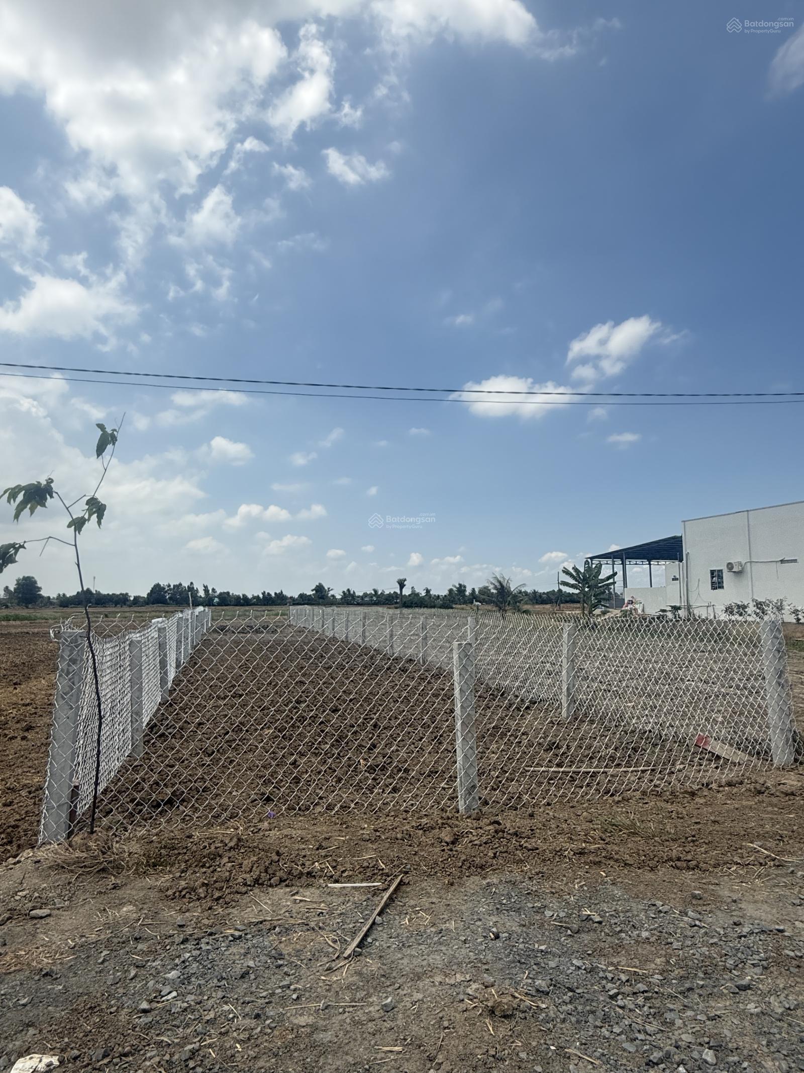 Bán đất nhà vườn đường Cầu Xây, Tân Lân, Cần Đước. 5x38m full thổ cư. LH 0915 829 *** gặp Quyết