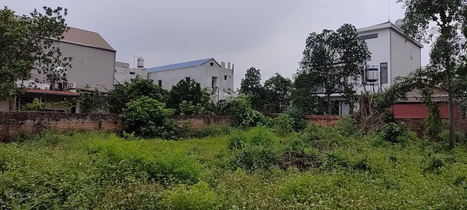 Tân Phúc - Hồng Kỳ, 420m, đầu tư phân lô đẹp, giá nhỉnh 7 tỷ