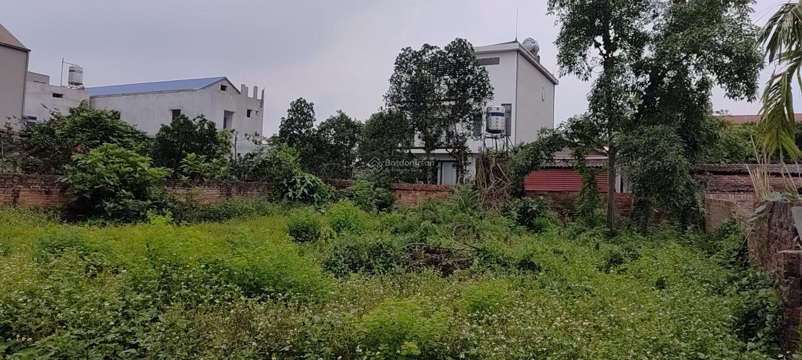 Tân Phúc - Hồng Kỳ, 420m, đầu tư phân lô đẹp, giá nhỉnh 7 tỷ