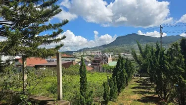 Bán NHANH 11482m2 đất SRXD ngang 22m view thoáng đẹp giá rẻ 13,5tr/m2 trung tâm TT Lạc Dương