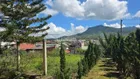 Bán NHANH 11482m2 đất SRXD ngang 22m view thoáng đẹp giá rẻ 13,5tr/m2 trung tâm TT Lạc Dương