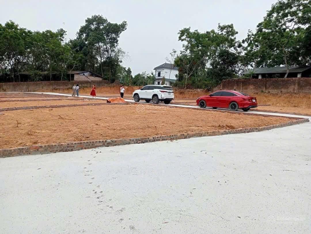 Bán gấp đất 105m2 tại Xã Tam Quan, Tam Đảo, Vĩnh Phúc, chỉ 495 triệu