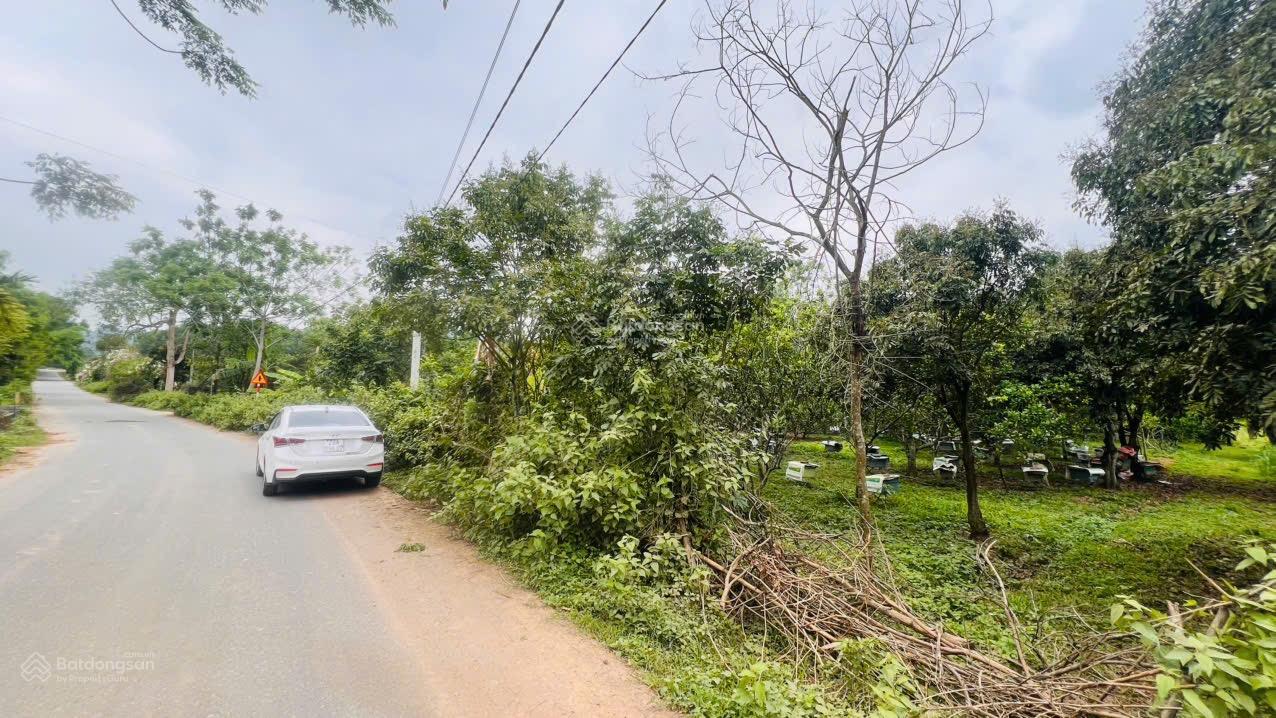 Chuyển nhượng 3900m2 đất đẹp bằng phẳng, mặt tiền bám đường nhựa tại Lạc Thuỷ, Hoà Bình