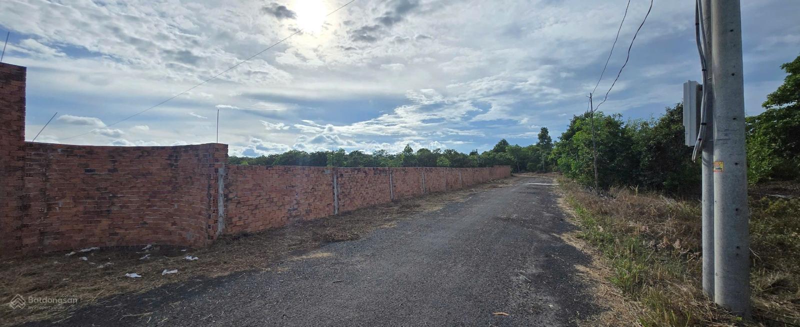 Gần 1 mẫu đất full hồng Bình Châu đã lên sẵn 300m2 thổ cư, có sẵn 2 căn nhà trong đất, chỉ 18 tỷ