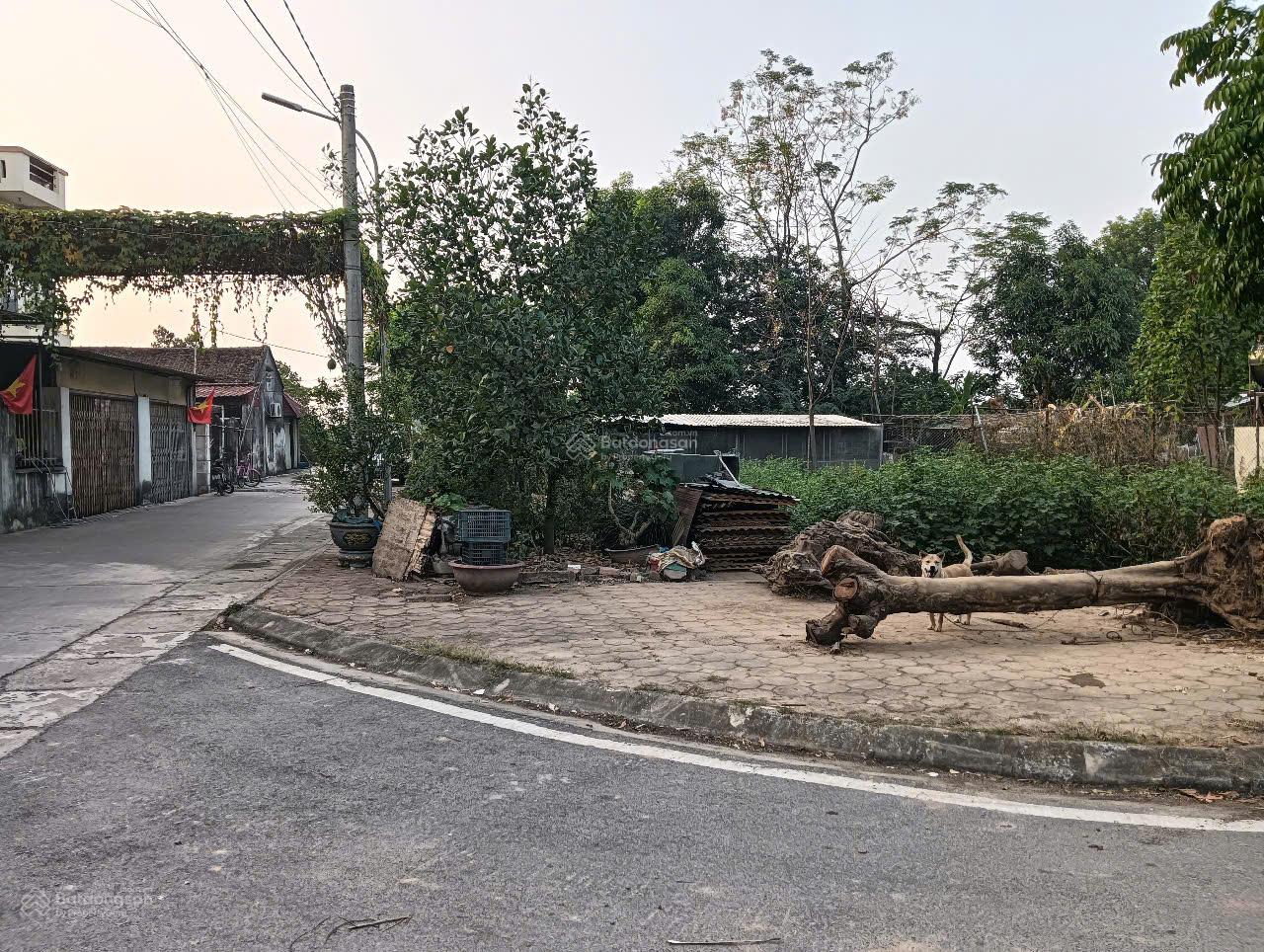 Bán đất đấu giá tổ 3 TT Chi Đông - Mê Linh - Hà Nội - diện tích 151m2