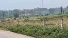 Chính chủ cần bán lô đất đẹp tại thôn 9, xã Ba Trại, huyện Ba Vì, Hà Nội DT:2.393m2 có 150m2 thổ cu