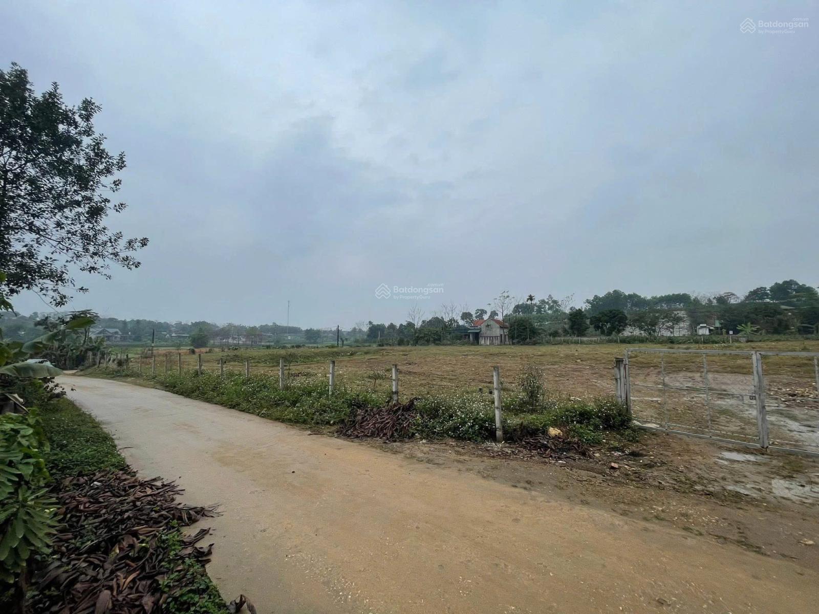 Chính chủ cần bán lô đất đẹp tại thôn 9, xã Ba Trại, huyện Ba Vì, Hà Nội DT:2.393m2 có 150m2 thổ cu