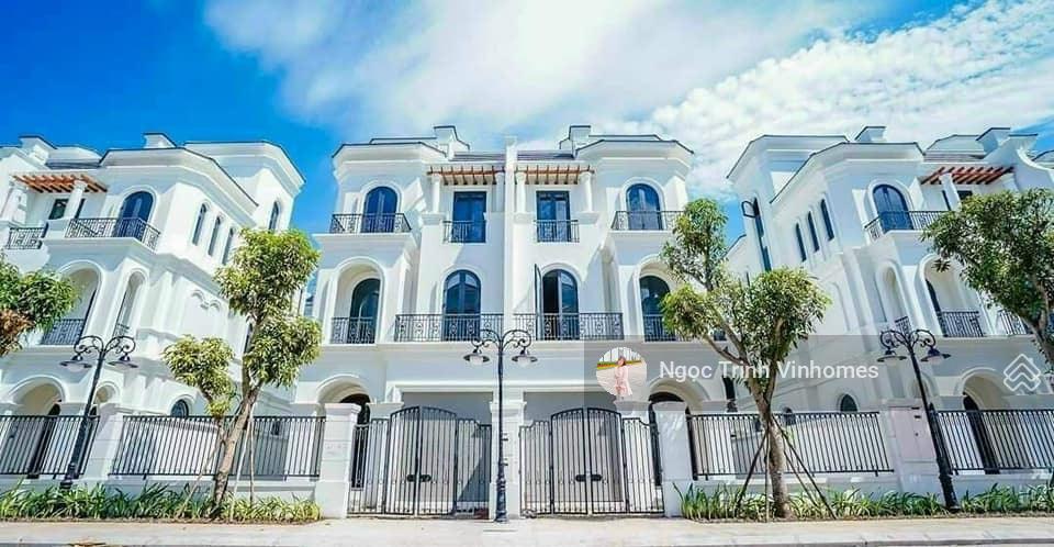 Song lập Ngọc Trai đảo nhỏ 165m2 giá chỉ 40tỷ bao phí tại Vinhomes Ocean Park Gia Lâm. Giá tốt nhất