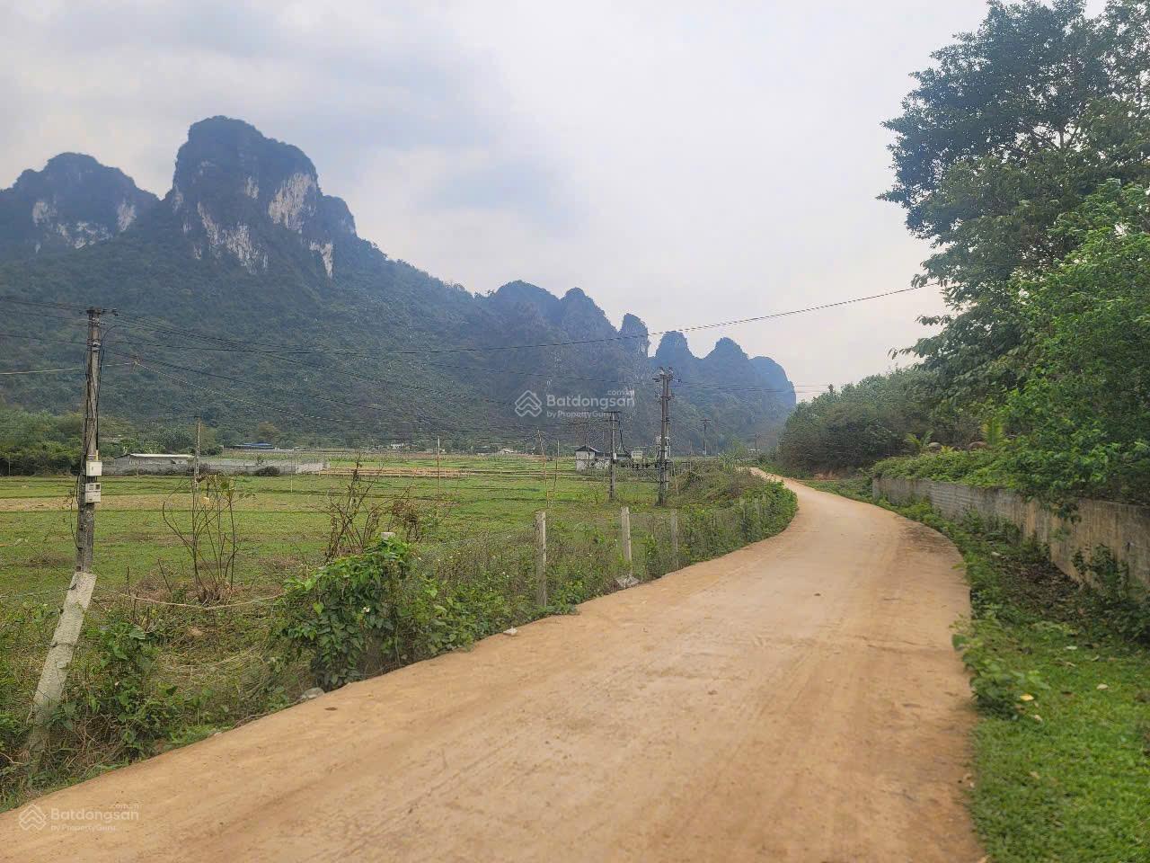 Chỉ 500k/m2 sở hữu ngay 1.6ha đất giáp Serena khu nghỉ dưỡng cao cấp tại Kim Bôi
