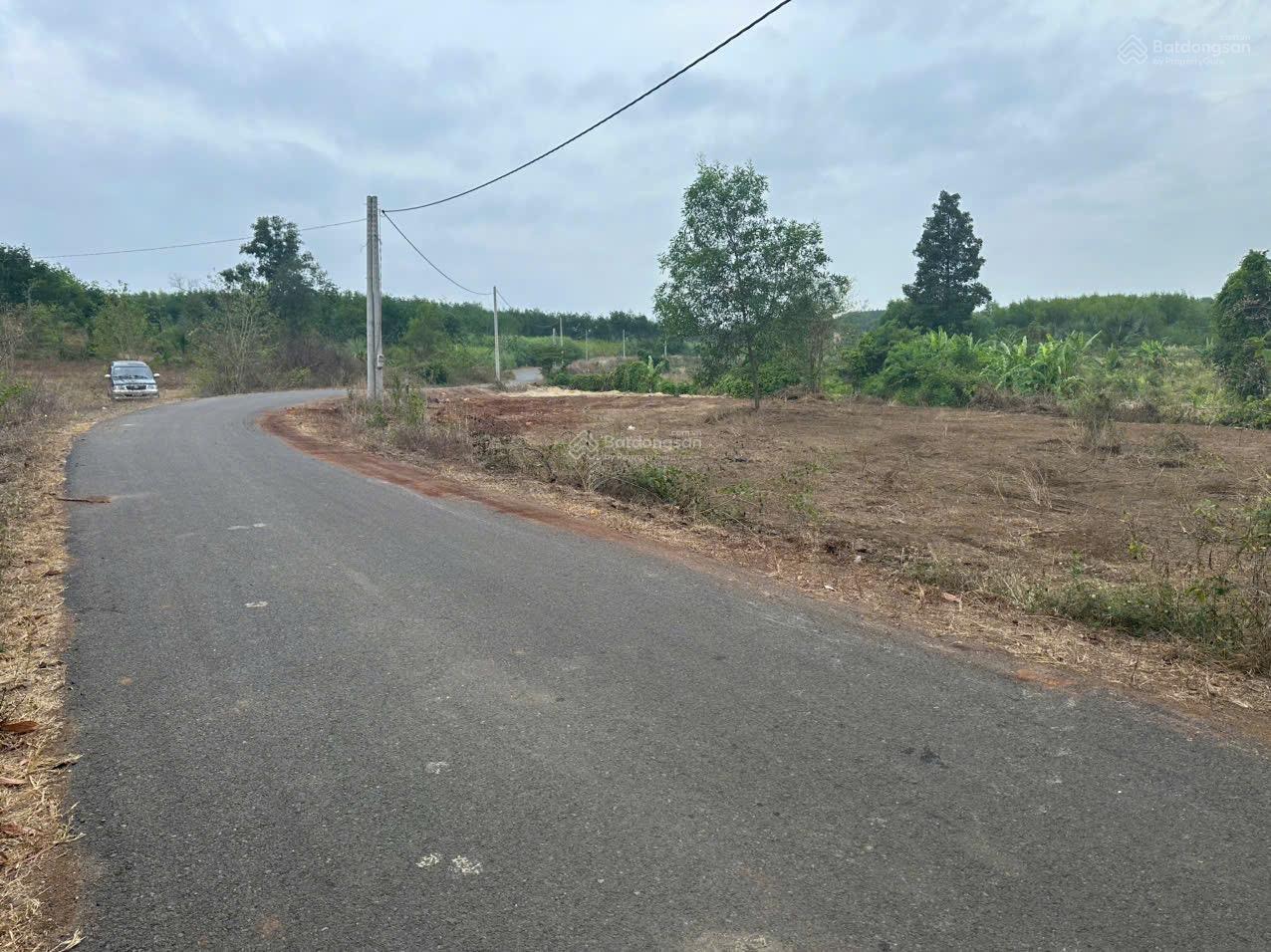 Đất nghỉ dưỡng view suối đẹp 100m ôm đất có 100m MT đường nhựa, DT 1790m2 giá rẻ chỉ 1 tỉ 550tr