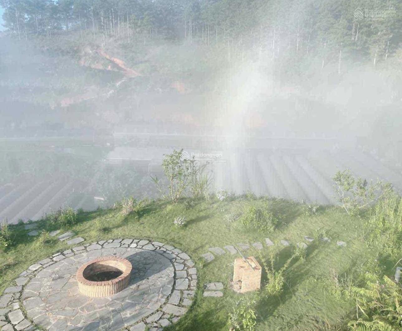 Không tiện quản lý bán lỗ 1200m2 đất view săn mây tặng căn nhà vườn Xuân Thọ - Đà Lạt Không tiện quản lý bán lỗ 1200m2 đất view săn mây tặng căn nhà vườn Xuân Thọ - Đà Lạt