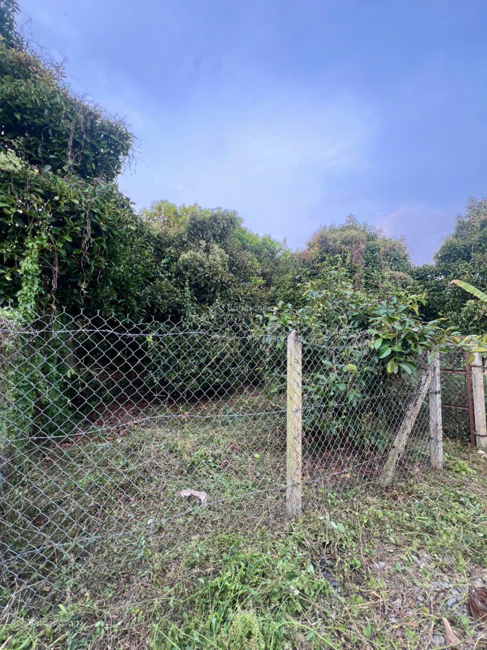 Bán lô đất tặng vườn măng An Sơn, Thuận An, Bình Dương Bán lô đất tặng vườn măng An Sơn, Thuận An, Bình Dương