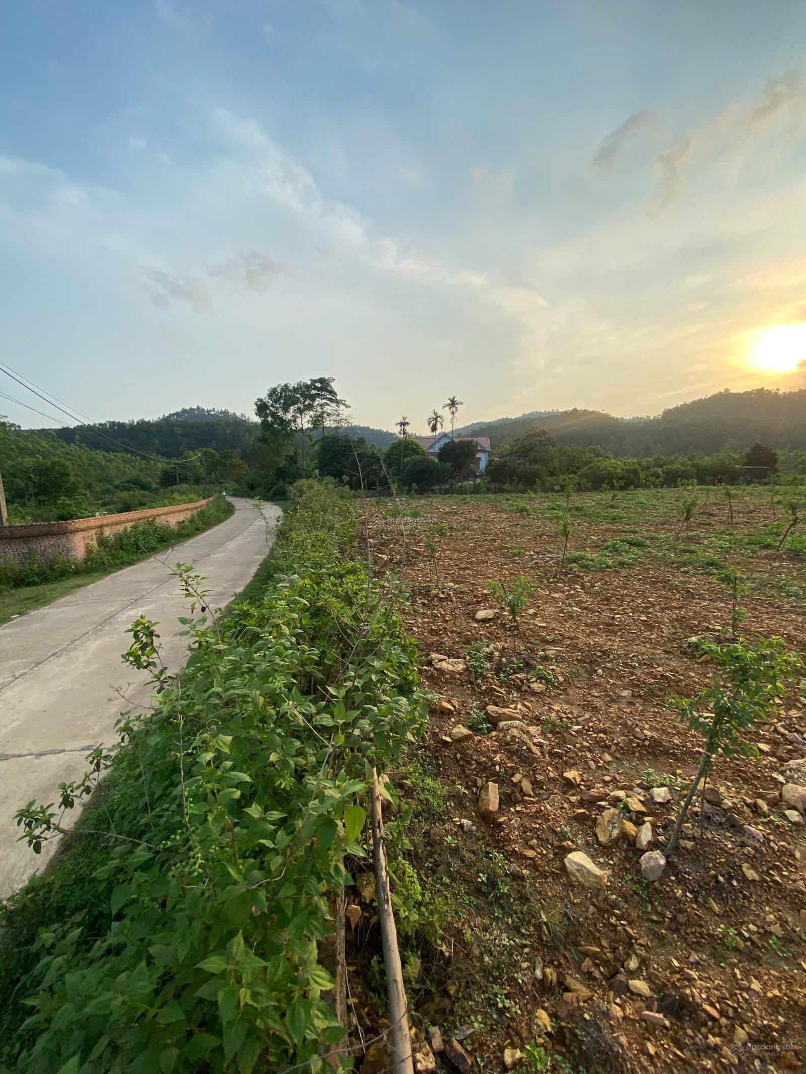 Bán trang trại khu nghỉ dưỡng Ngọc Thanh(Phường Xuân Hòa mới) siêu rẻ chỉ 3,5 triệu/m2, 3535,6 m2