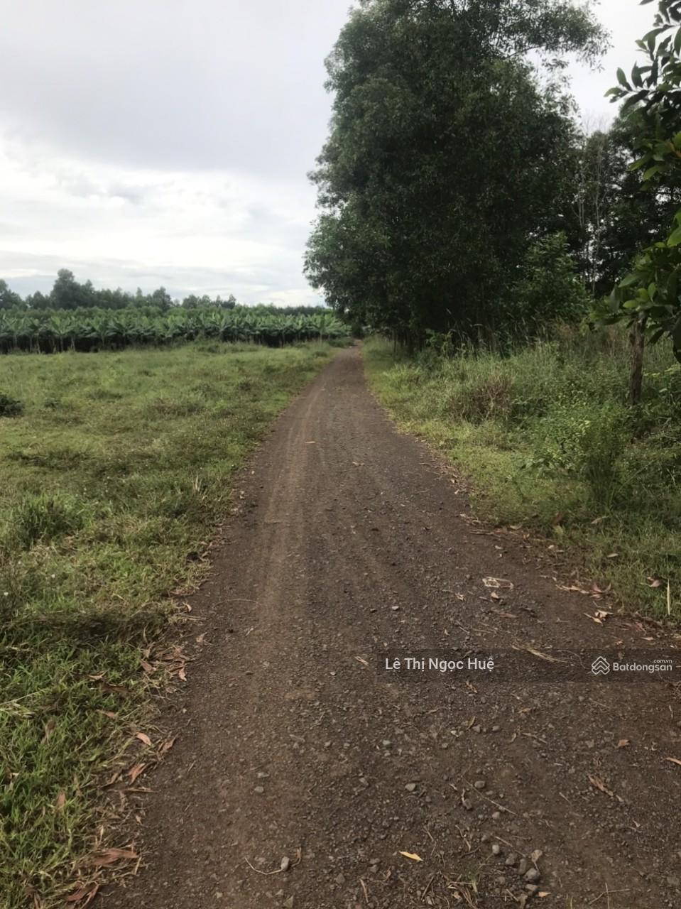 Bán đất xã Bình An, Long Thành, Đồng Nai, cách sân bay 1 km