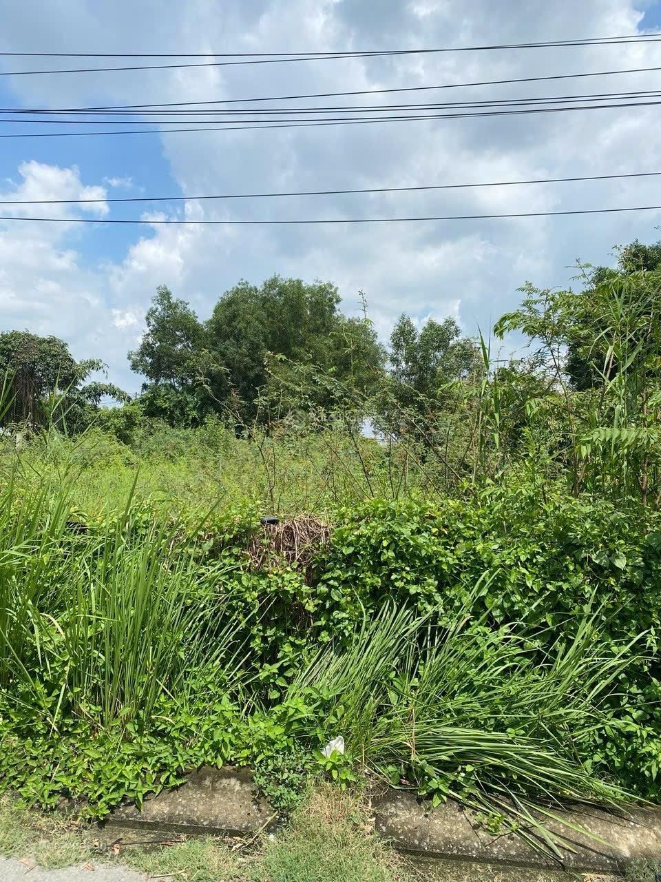 Bán 1000m2 đất vườn biệt thự, đường nhựa 6m, Long Phước, Thủ Đức giá chỉ 16 tỷ