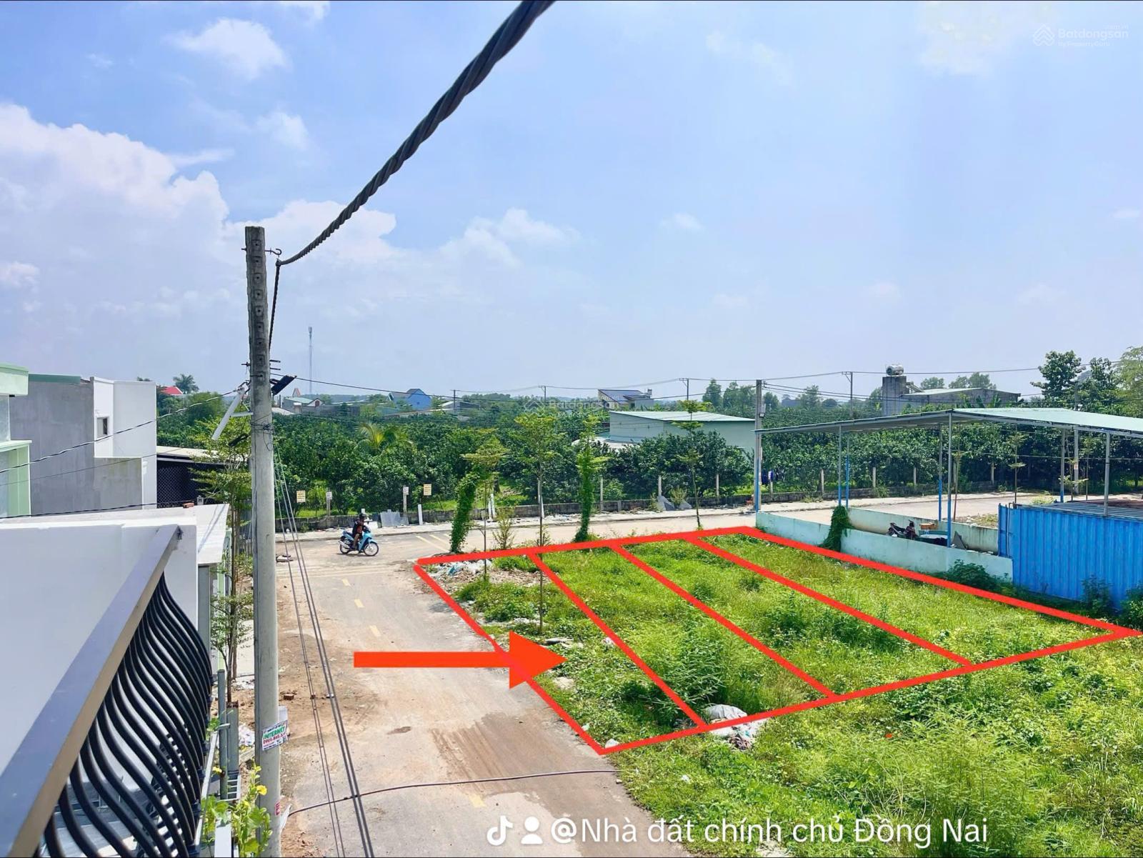 Bán khu đất Cù Lao Tân Triều ven sông sổ sẵn, ngay KDL Bửu Long cách cầu Hoá An 5 phút