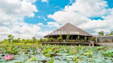 Bán 4 nền khu A/B/C tại dự án KĐT Làng Sen Việt Nam - Vị trí đẹp - Giá đầu tư và dễ dàng an cư