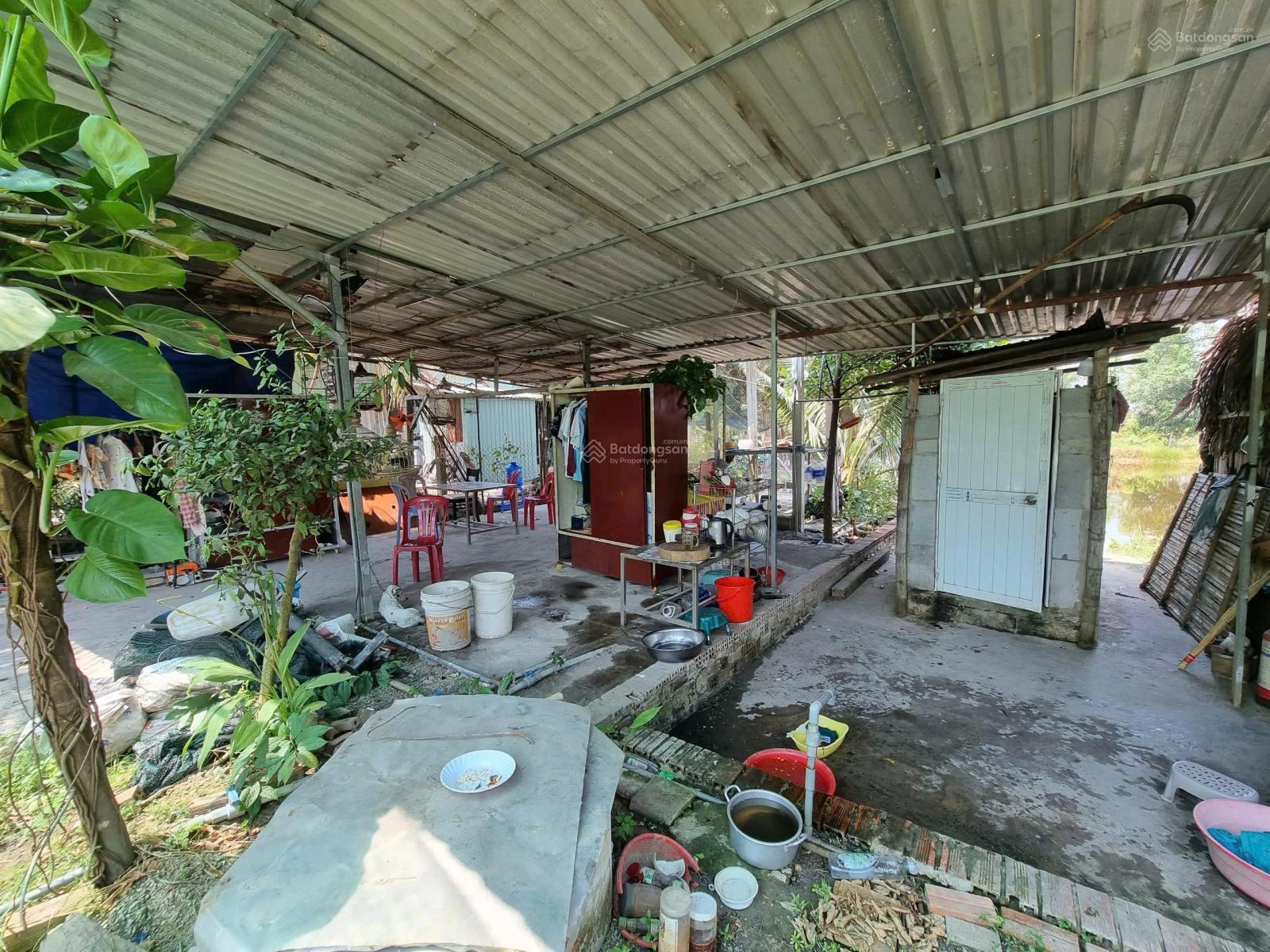Chính chủ bán gấp nhà vườn nghỉ dưỡng 4.347m2 - xã Tân Thạnh Đông, Củ Chi giá chỉ 4triệu5/m2