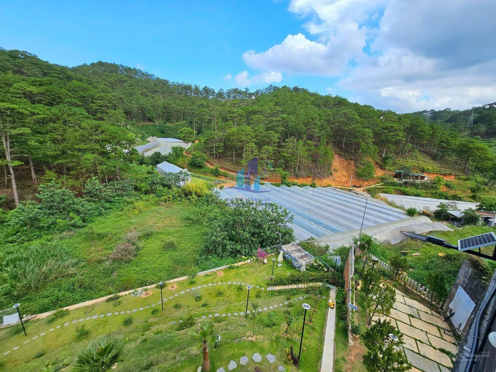 ĐẤT XÂY KHÁCH SẠN ĐƯỜNG HOÀNG HOA THÁM, VIEW CỰC ĐẸP, ĐÃ CÓ BẢN VẼ & GPXD. GIÁ 9.1 TỶ