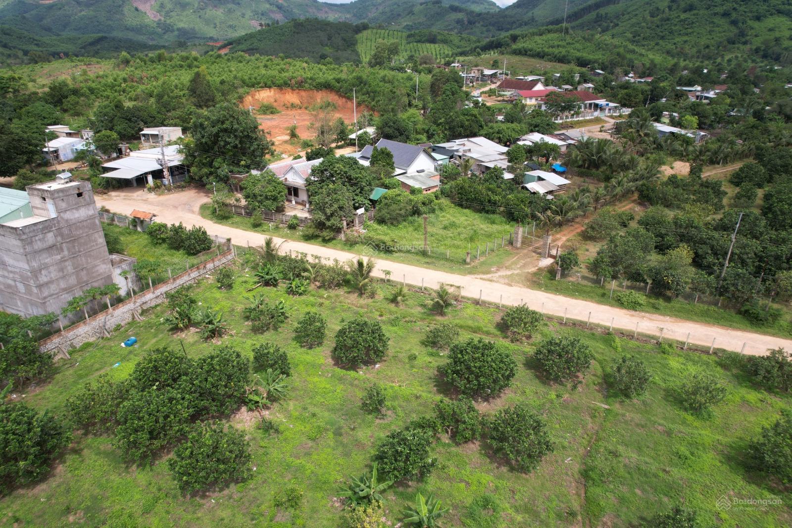 Bán đất mặt tiền đường Hương Lộ 62 (30m) kết nối QL-27C trung tâm Xã Khánh Phú. Sổ Đỏ Full Thổ Cư.