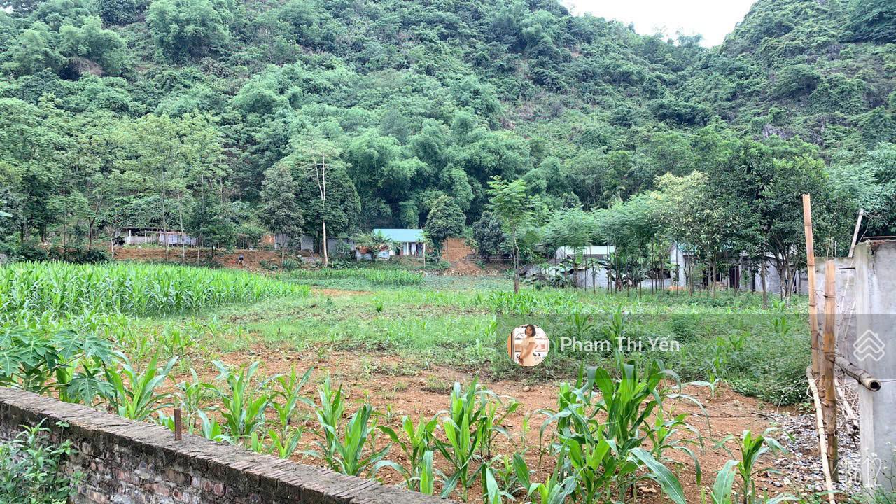 Cần bán gấp mảnh đất 3278m2 - 400m2 thổ cư tại Cư Yên Lương Sơn Hoà Bình. Đường đã dải Aphan