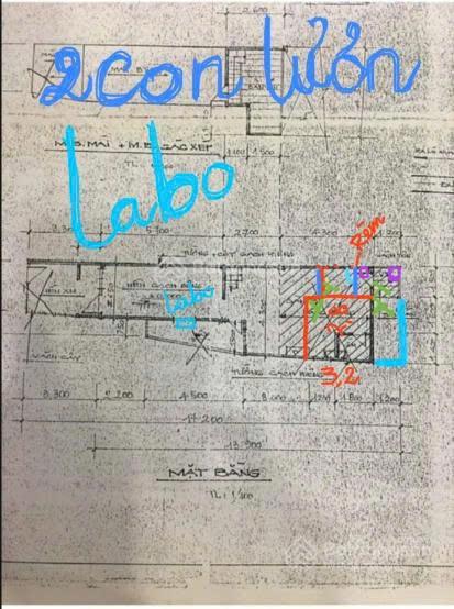 Bán gấp nhà đẹp mới sơn sửa 58/113 Phan Chu Trinh P. 24 Q. Bình Thạnh (Số cũ 56 Huỳnh Đình Hai P24) Bán gấp nhà đẹp mới sơn sửa 58/113 Phan Chu Trinh P. 24 Q. Bình Thạnh (Số cũ 56 Huỳnh Đình Hai P24)