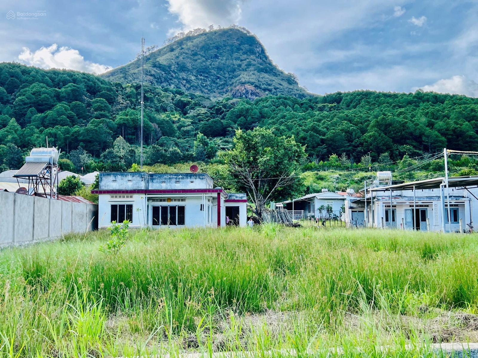Bán đất ngay chân đèo Prenn view núi Voi Mr Chí Thiện BĐS