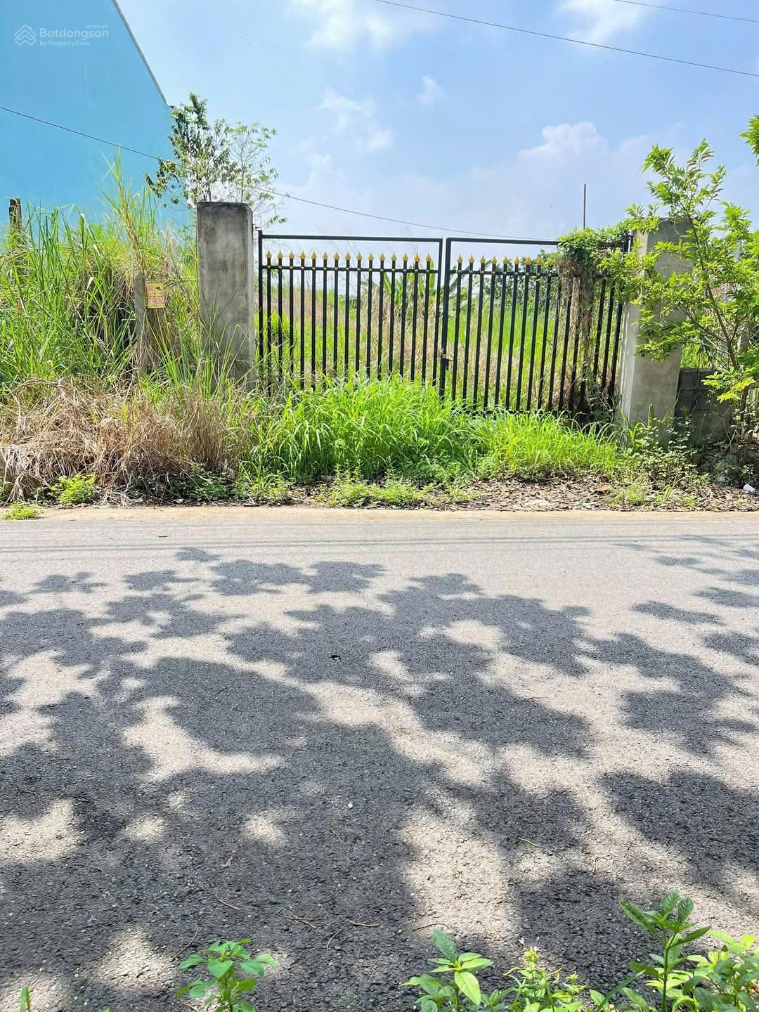 Bán đất 212m2 tại Đường Số 30, Tân Thông Hội, Củ Chi, HCM. Chỉ 1,7 Tỷ