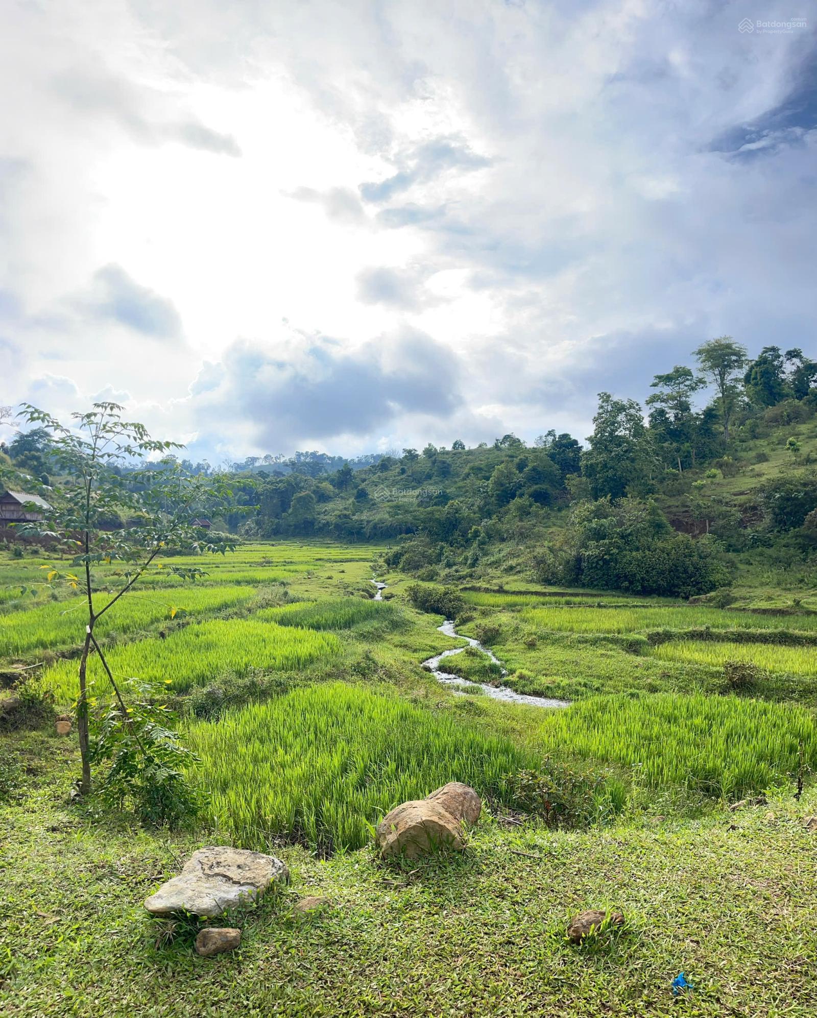 Bán đất đồi có thổ cư thuộc làng du lịch cộng đồng tại Măng Đen