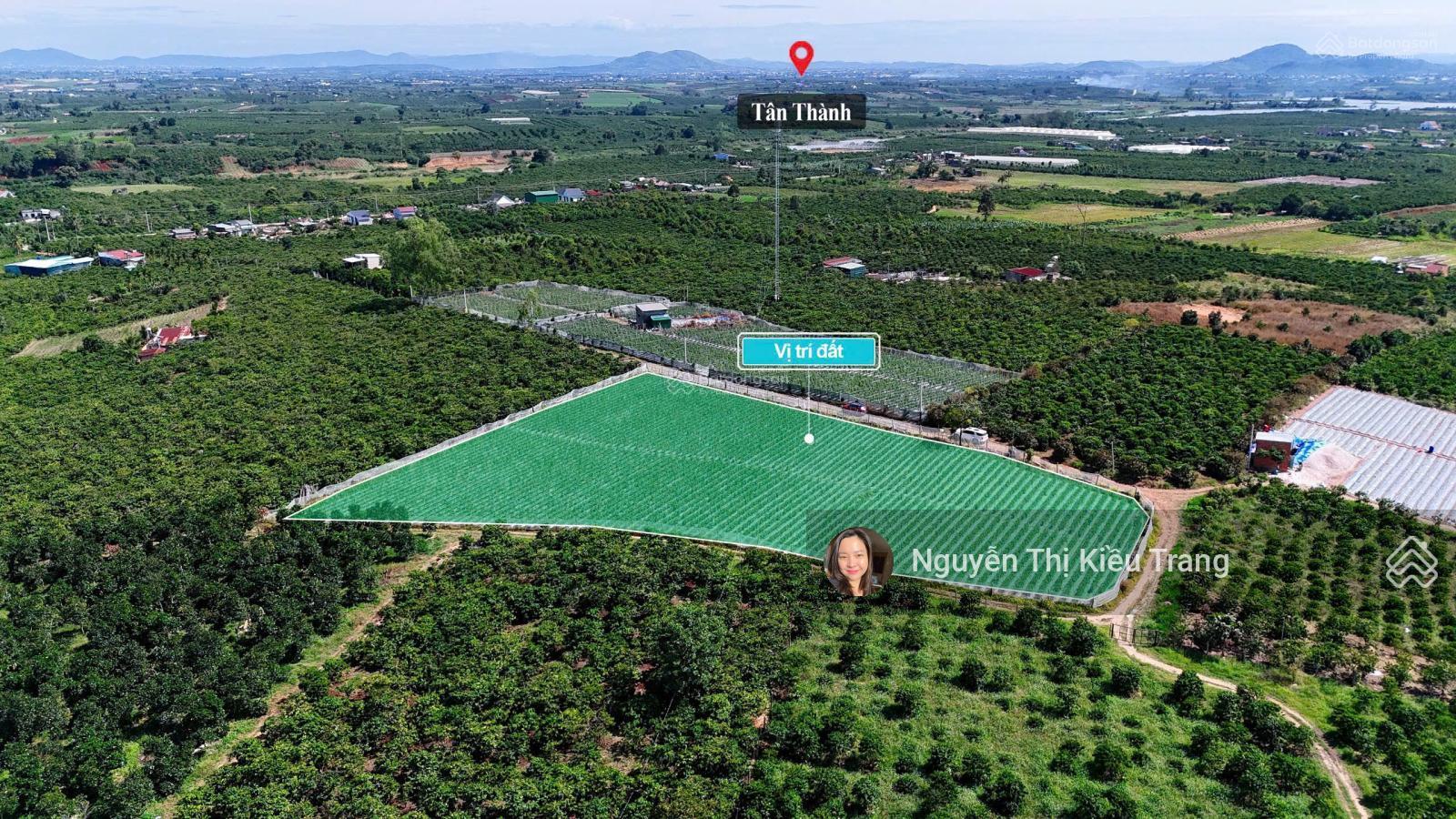 249 triệu đất thổ cư Tân Văn, Lâm Hà, Lâm Đồng. DT: 147m2 (5x31m)