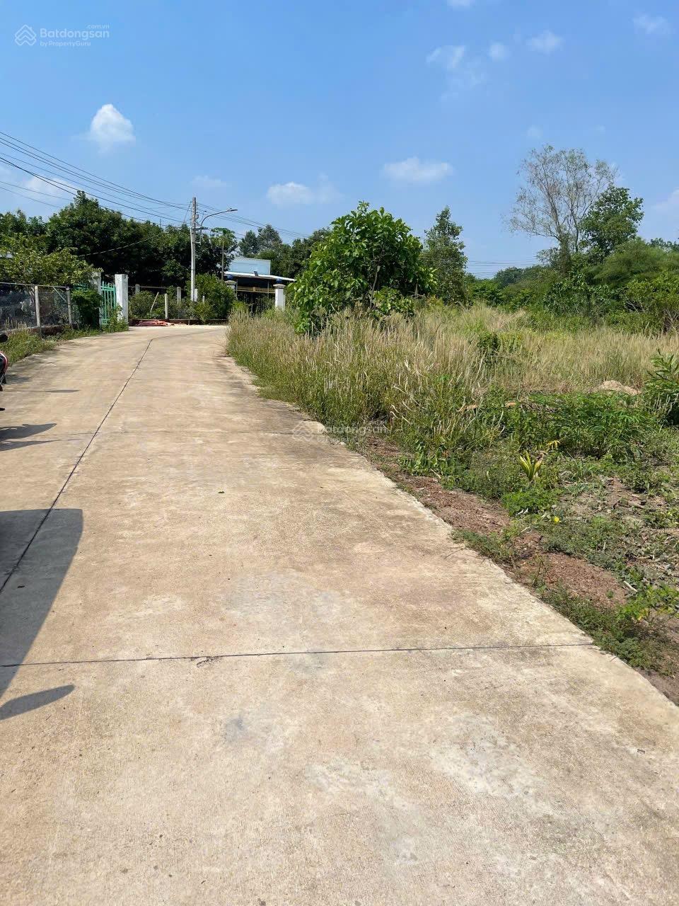 Cần bán đất chính chủ tại xã Tân Hiệp, Phú Giáo Diện tích: 178m² (ngang 5m x dài 38m)
