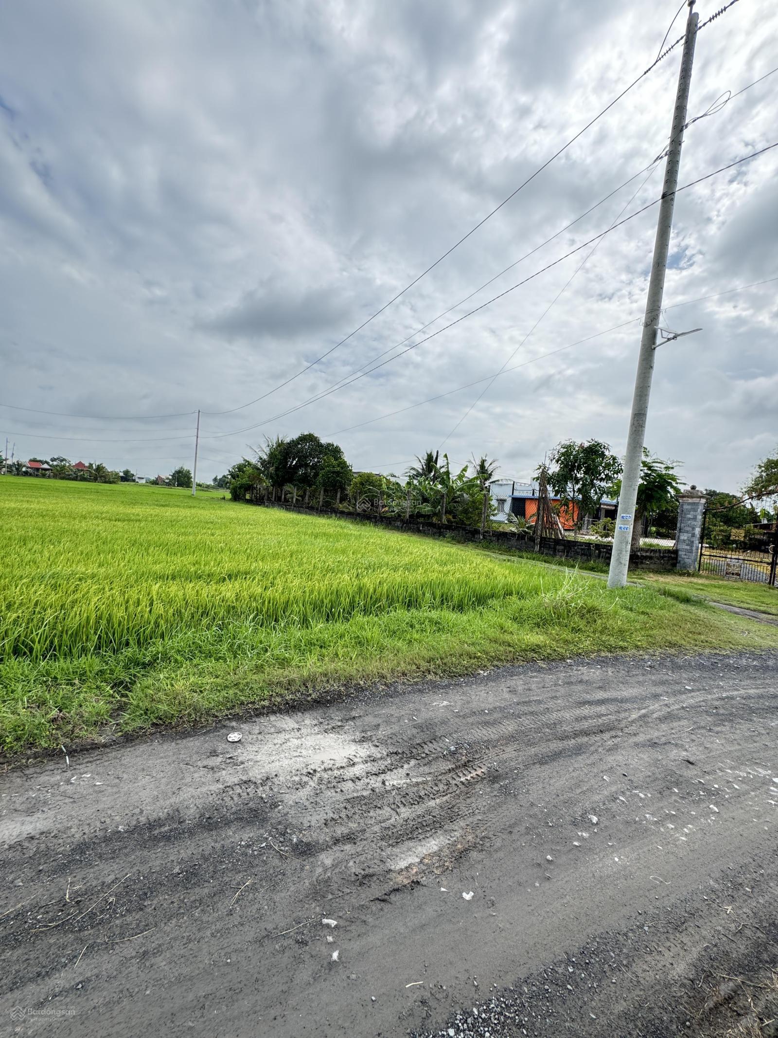 Cần bán miếng đất thổ cư 337m2 rộng rãi