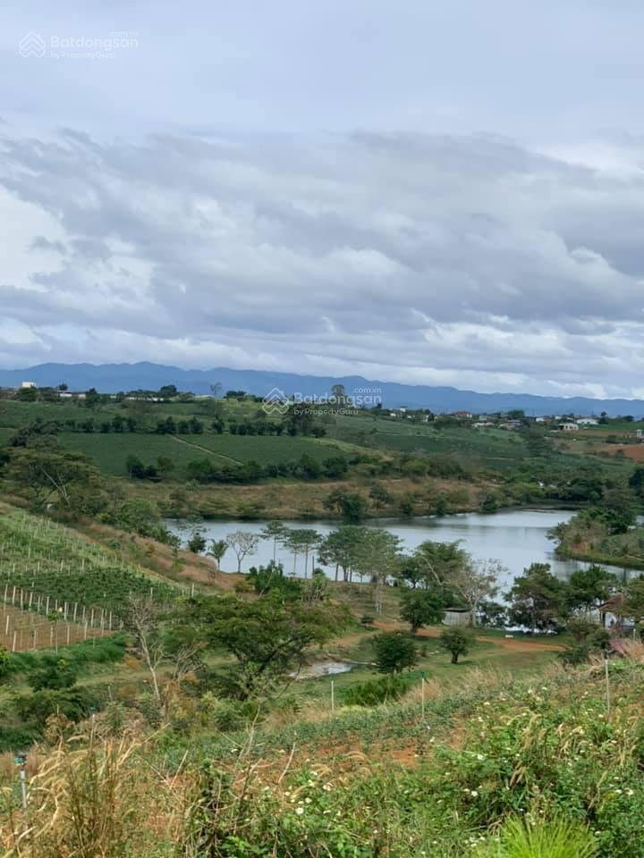 Đầu tư nền Lộc Tân sát cao tốc | sổ sẵn | phù hợp kinh doanh và nghỉ dưỡng Đầu tư nền Lộc Tân sát cao tốc | sổ sẵn | phù hợp kinh doanh và nghỉ dưỡng