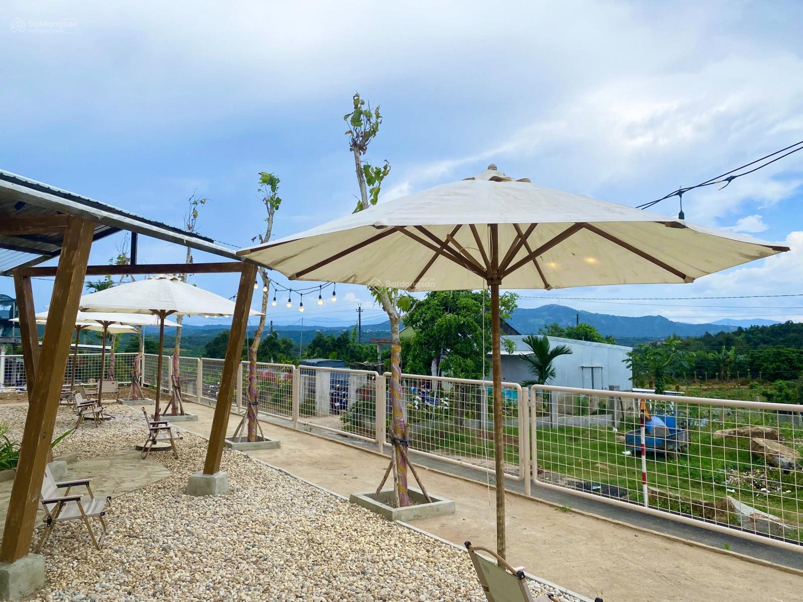 Lô đất đẹp 290m2 thổ cư đường xá hạ tầng đẹp dân cư hiện hữu giáp Bảo Lộc, view thoáng săn mây được